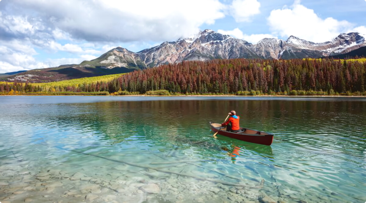 Nuestros servicios de alquiler de coches ofrecen una diversa selección de vehículos en Jaspe.